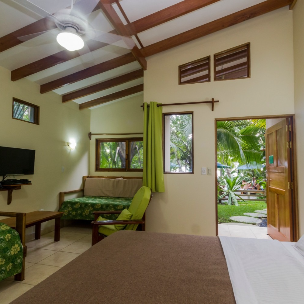 A bedroom with a bed a couch and a television