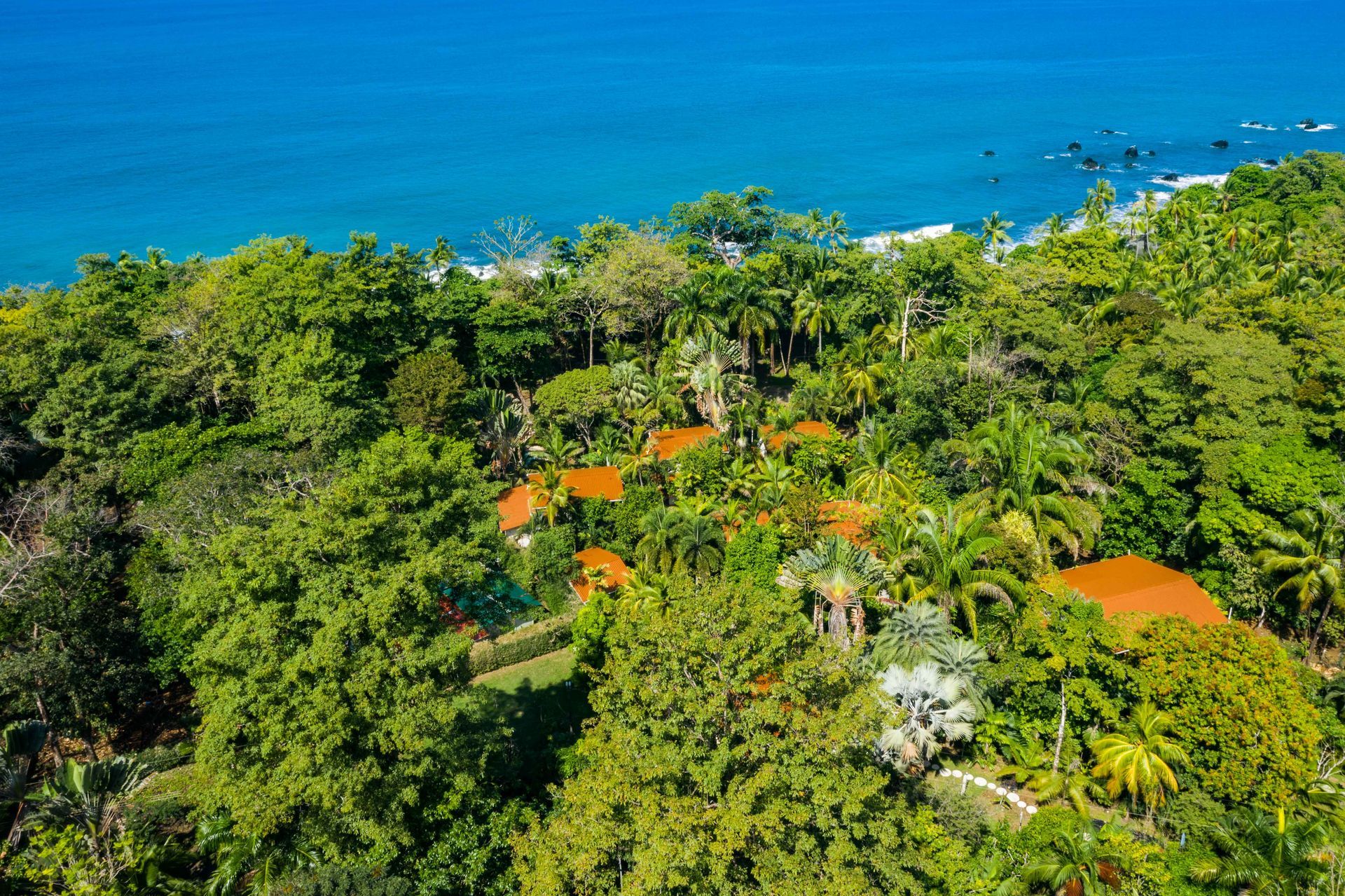 An aerial view of a lush green forest next to the ocean.