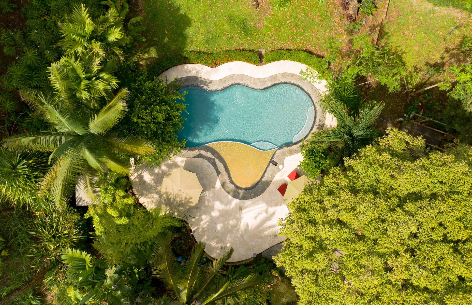 An aerial view of a heart shaped swimming pool surrounded by palm trees.