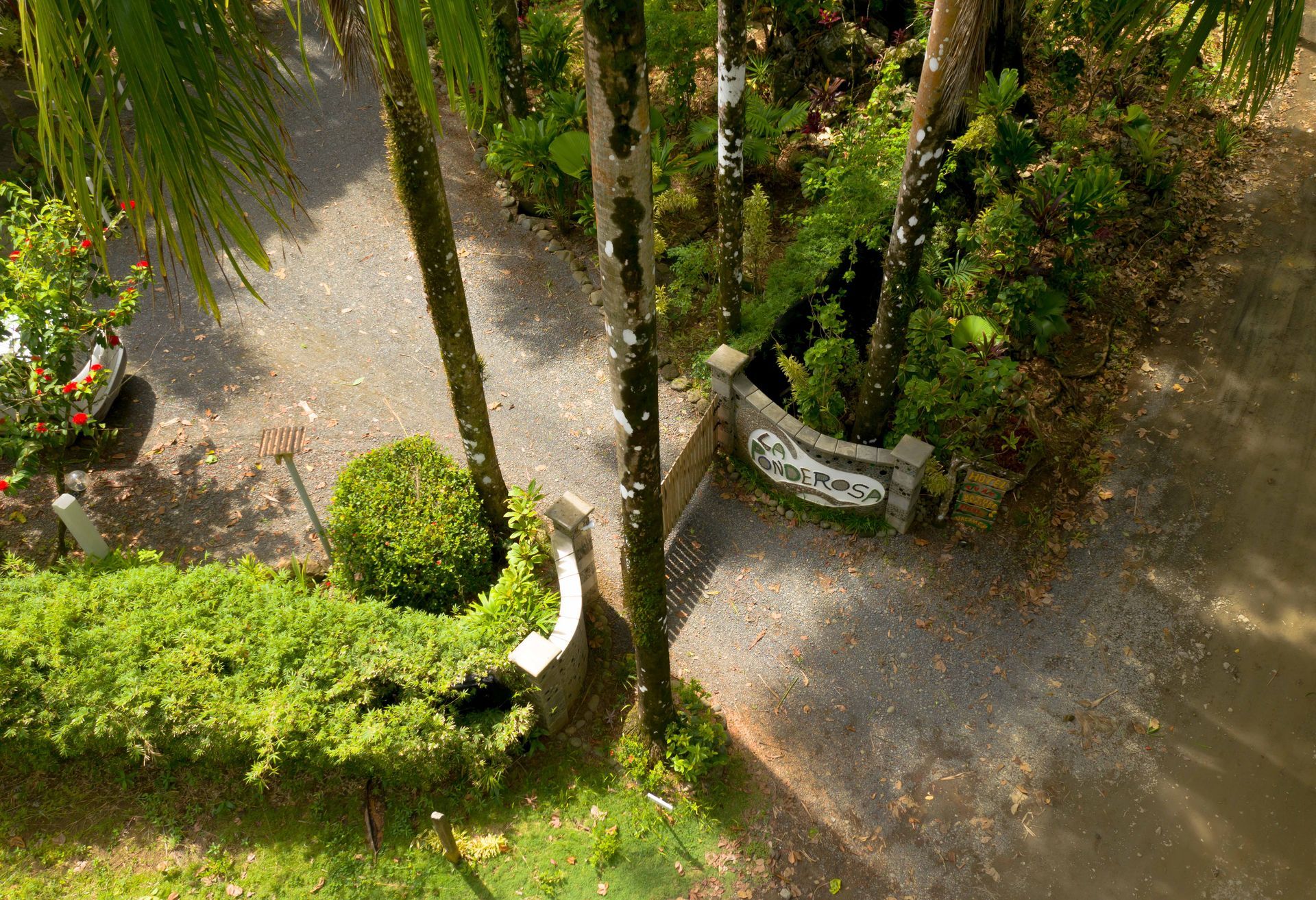 An aerial view of a dirt road surrounded by trees and bushes.