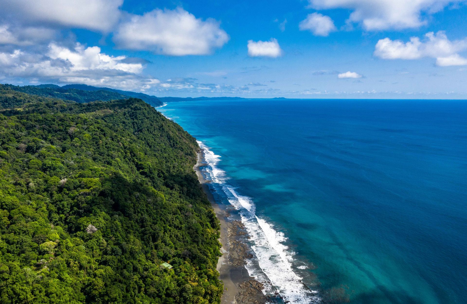 An aerial view of a lush green cliff overlooking the ocean.