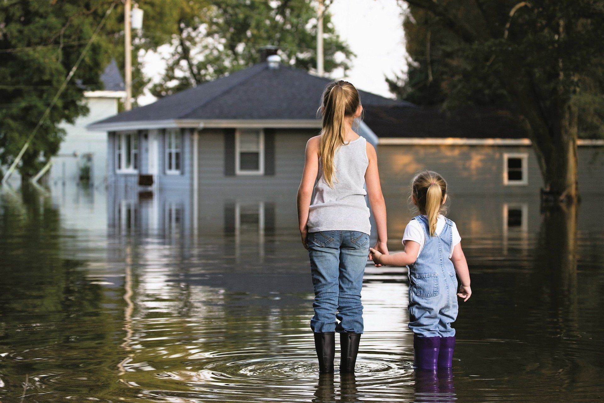 FLOOD WATER CLEANUP