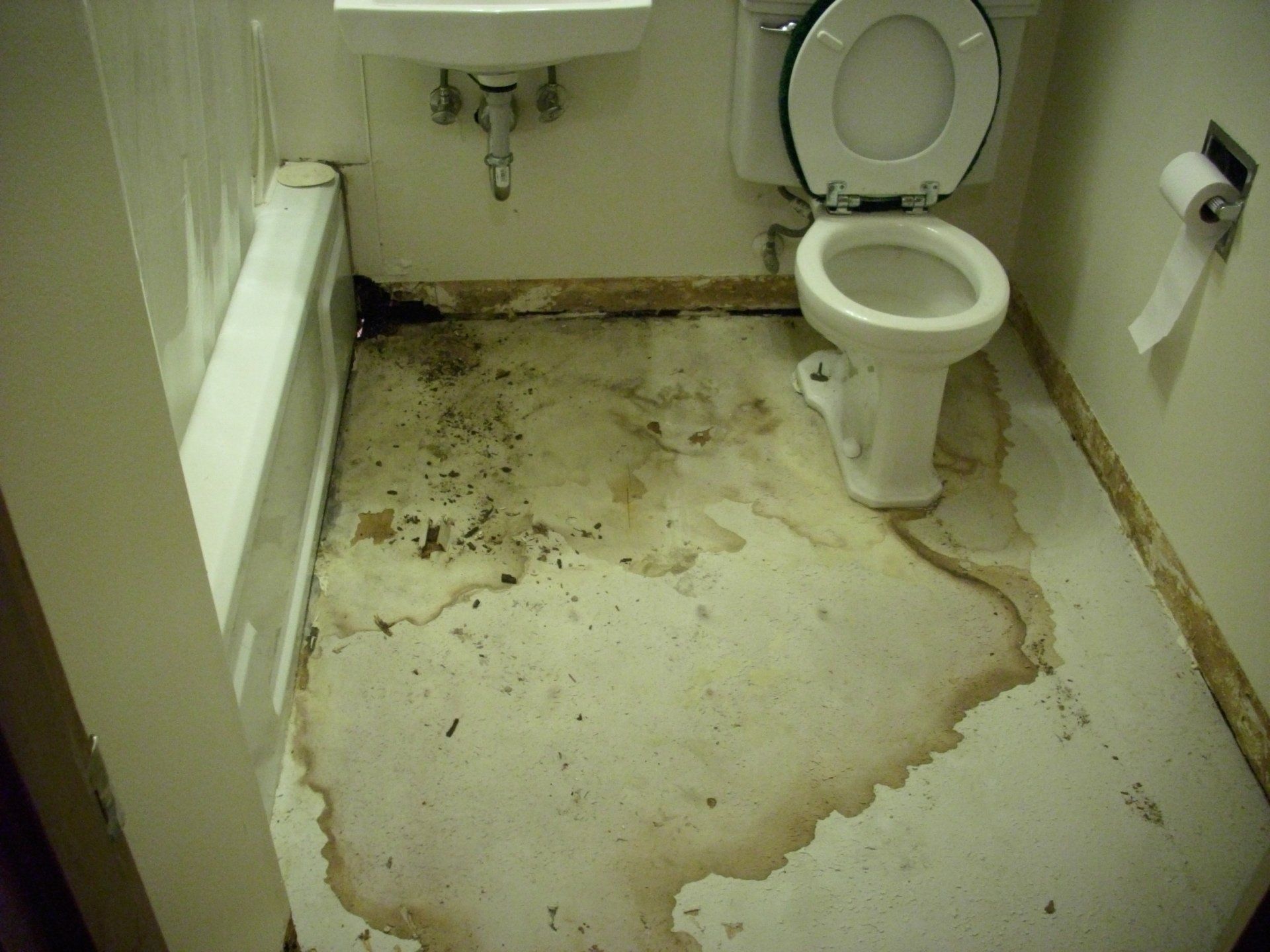 FLOOD WATER CLEANUP