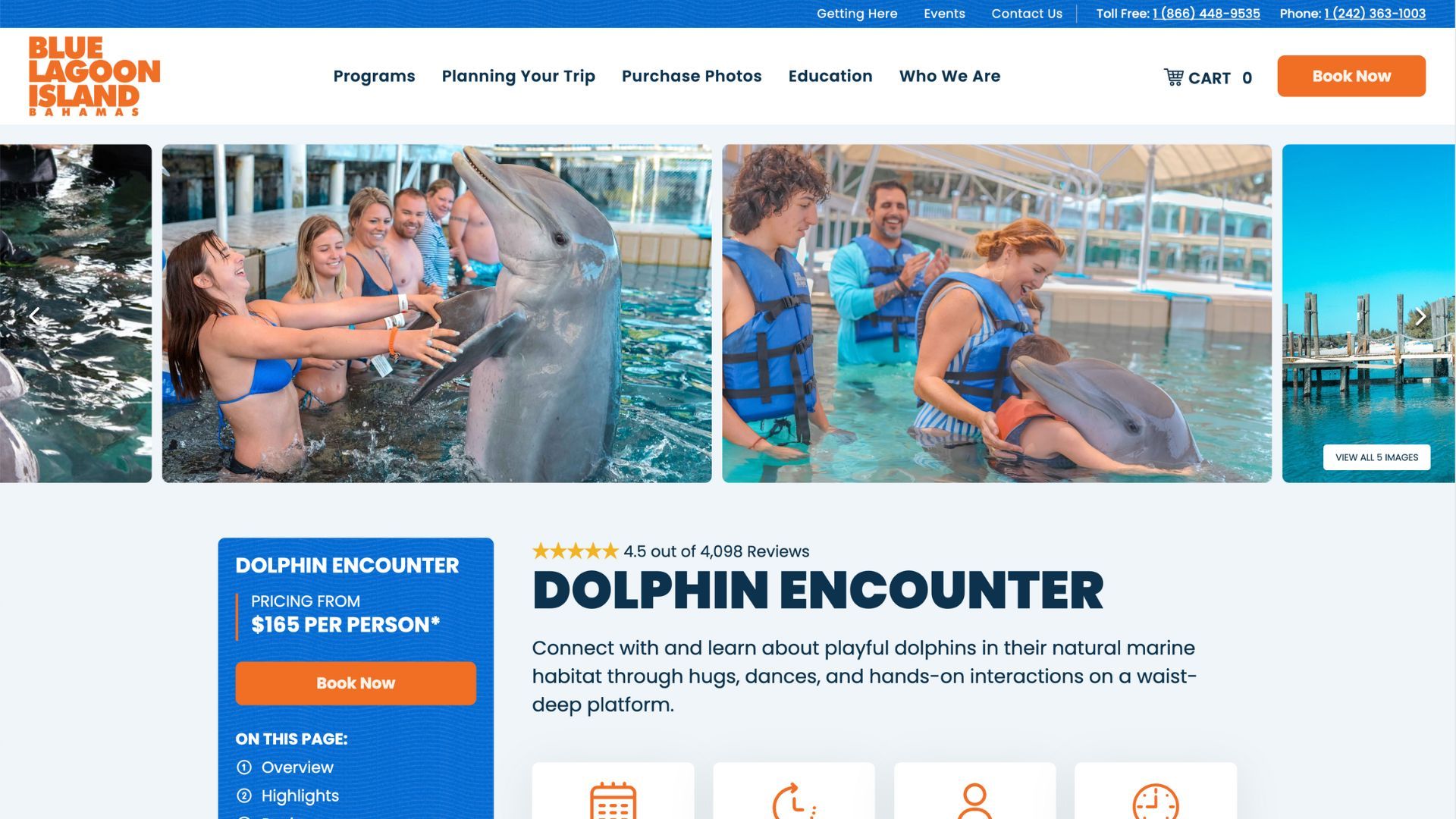 A group of people are swimming with dolphins on a website.