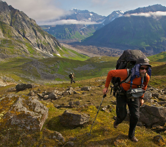 Tour Operator Software