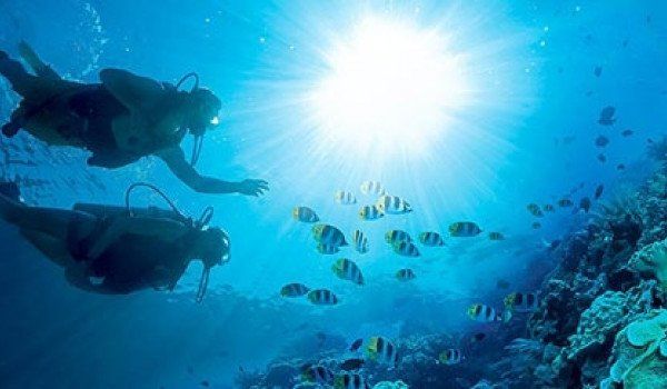 Tour Operator Software