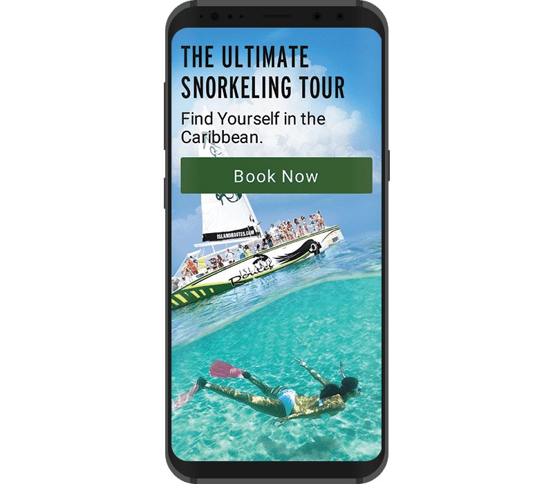 Snorkeling webpage on phone