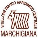 Logo Marchigiana