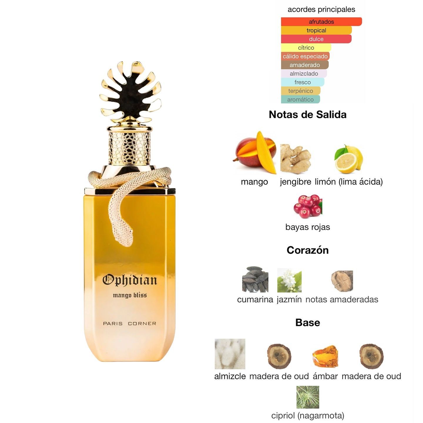 Ophidian Mango Bliss 100 ml  Eau de Parfum Paris Corner