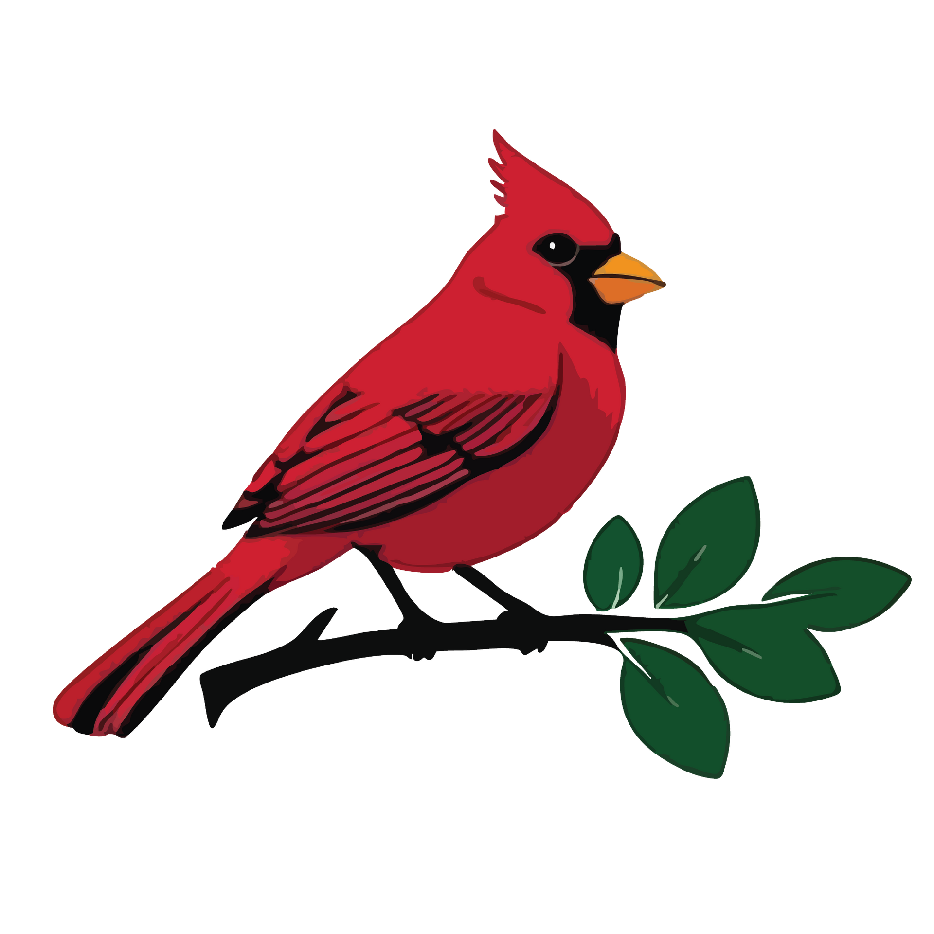 A blue bird is sitting on a branch with the words the claiborne below it