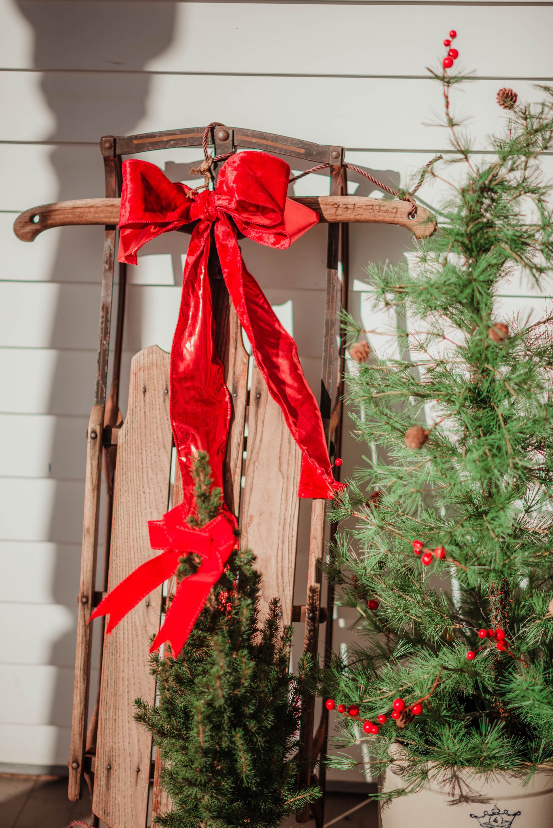 A wooden sled with a red bow on it is sitting next to a christmas tree.