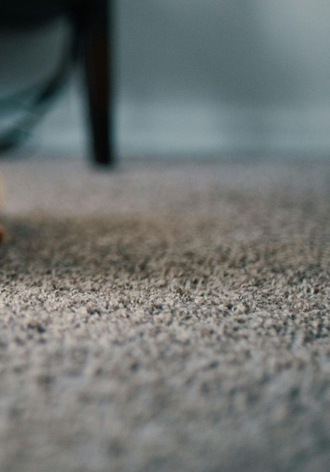 Teppichboden - Malermeister Isaack Calau