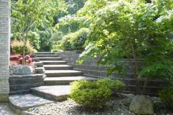 Plant Nursery — Landscaping and Hardscaping in Morganville, NJ