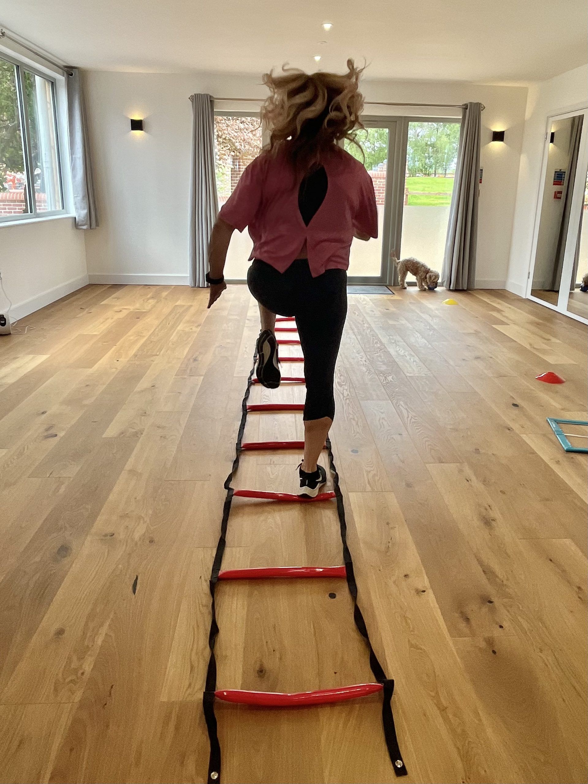 Ladders at Deanslade