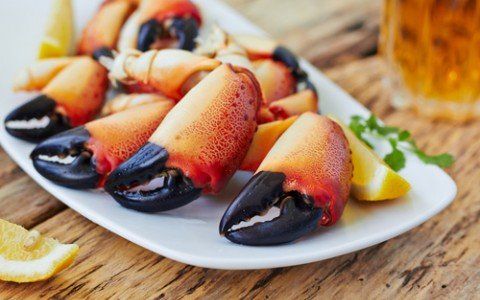 Stone Crab Claws