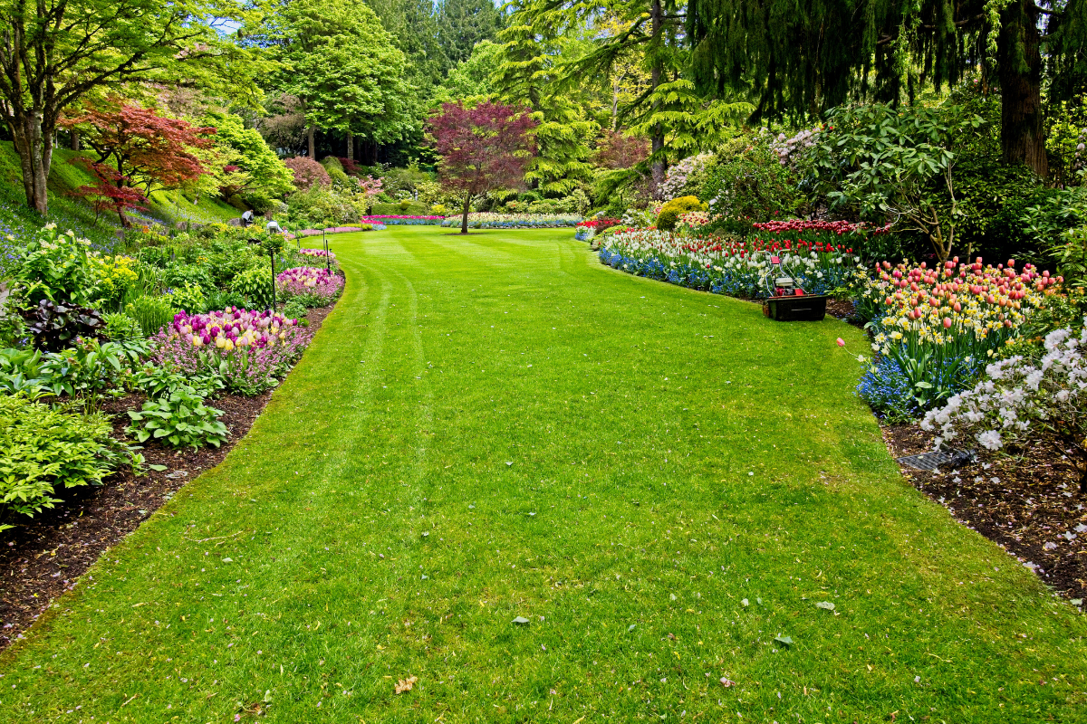 Stone steps in a garden bed, surrounded by yellow ground cover and greenery.