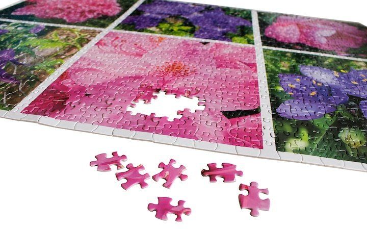 Perennial Beauties puzzle