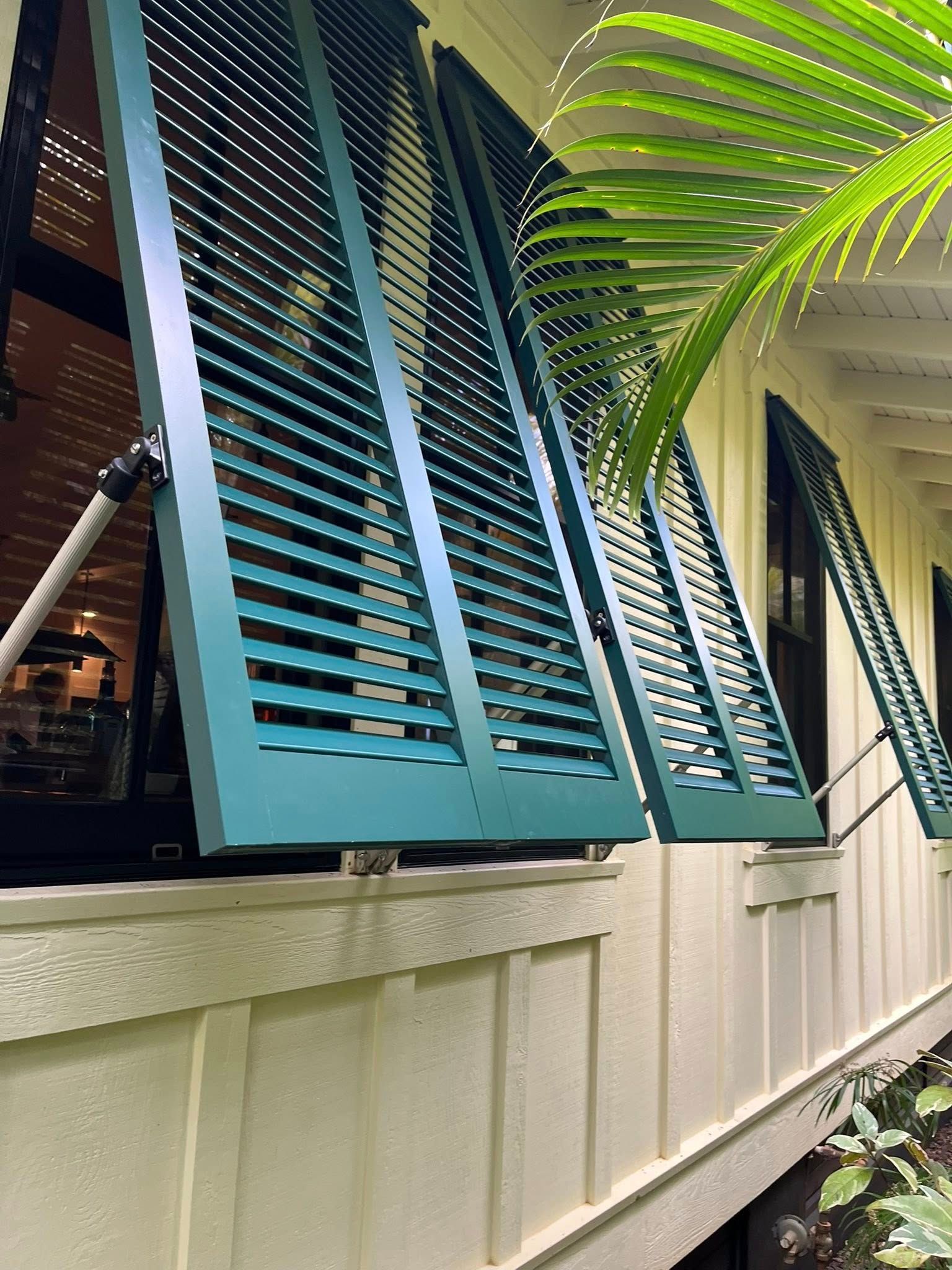 Blue shutters open on a house exterior with white siding and green palm fronds.