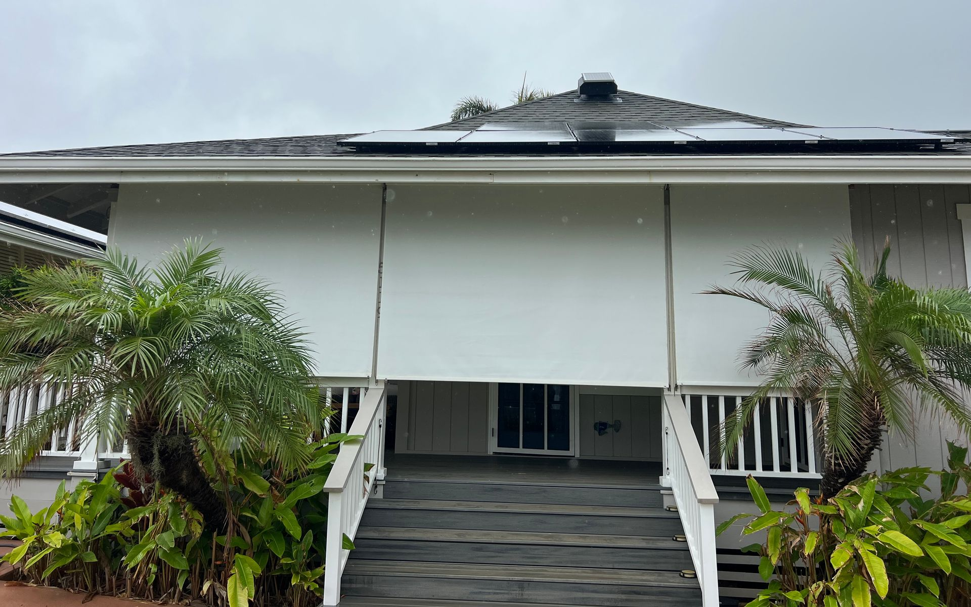 White house entrance with central stairs, railings, and two palm trees in front