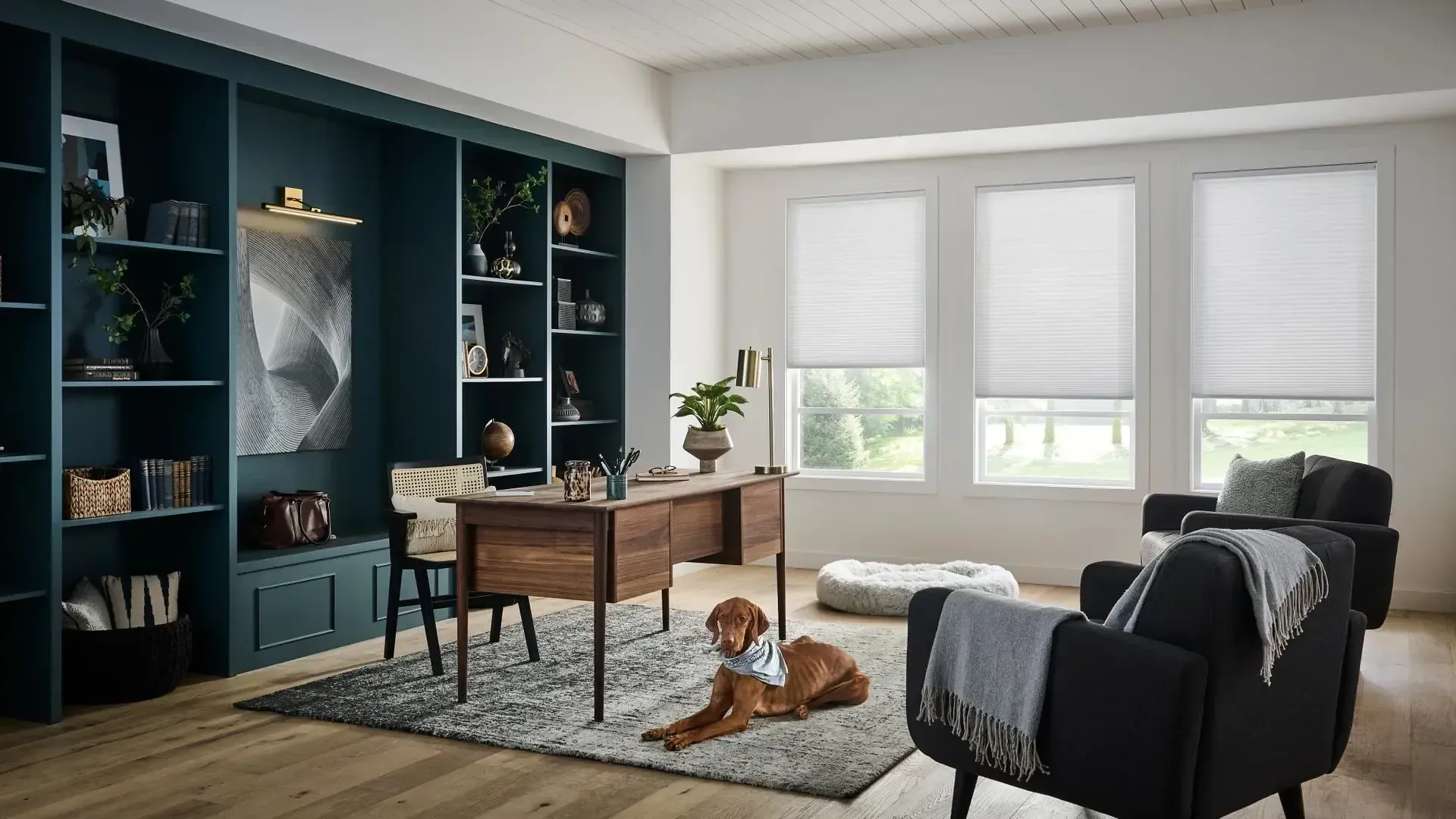 Bright living room with dark built-in shelves, wooden desk, gray armchair, rug, and a dog by the window.