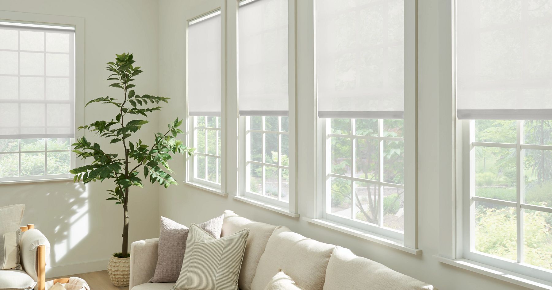Sunlit living room with white blinds, beige sofa, and a tall potted plant