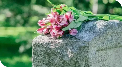 Pink flowers resting on a weathered stone ledge with a blurred green garden background