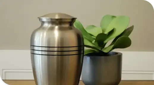 Silver urn beside a potted green plant on a shelf against a beige wall