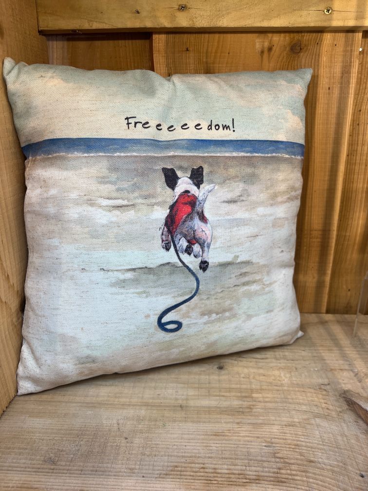Freedom cushion from the little dog laughed.