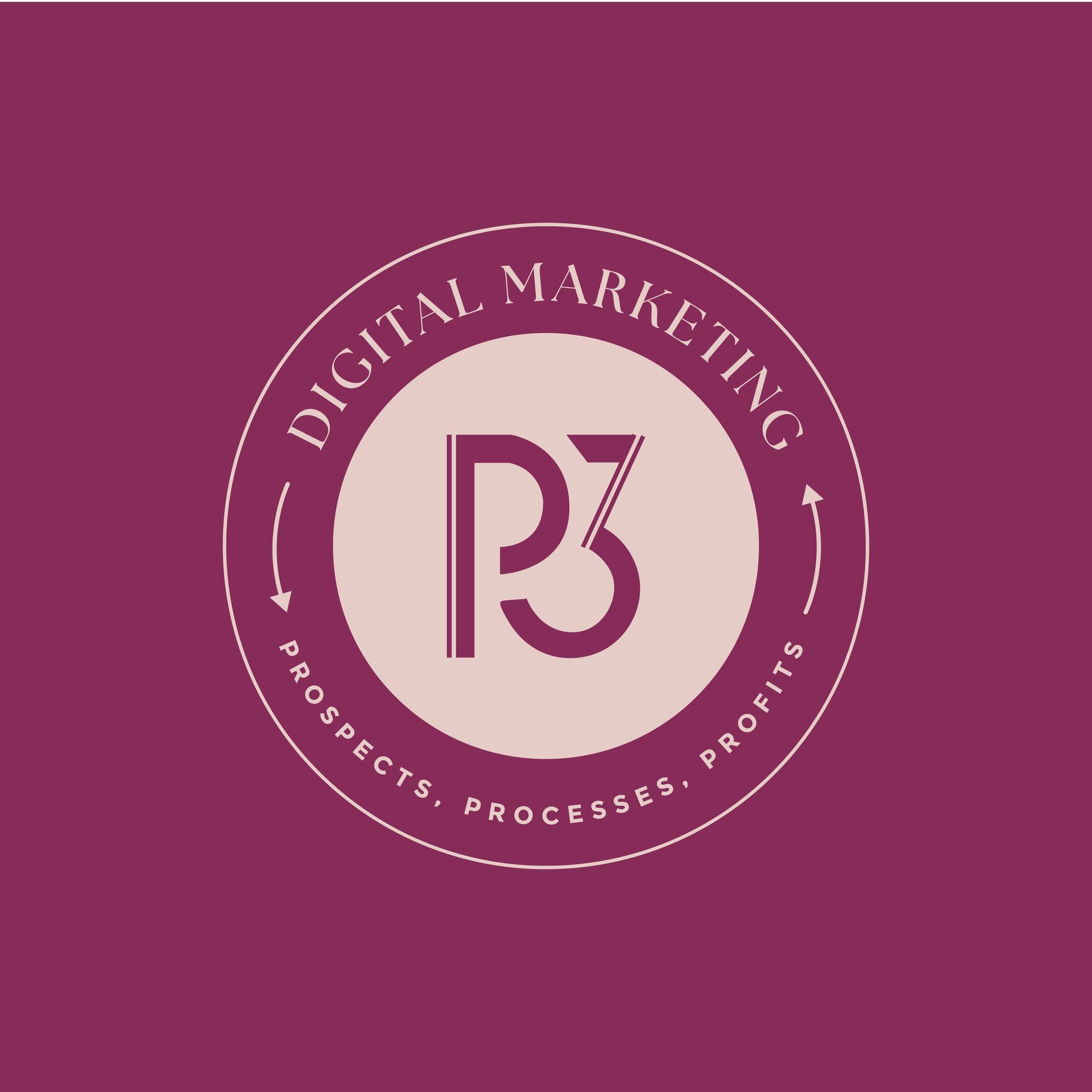 P3 Biz Solutions a marketing agency geared towards helping small businesses grow in their local communities