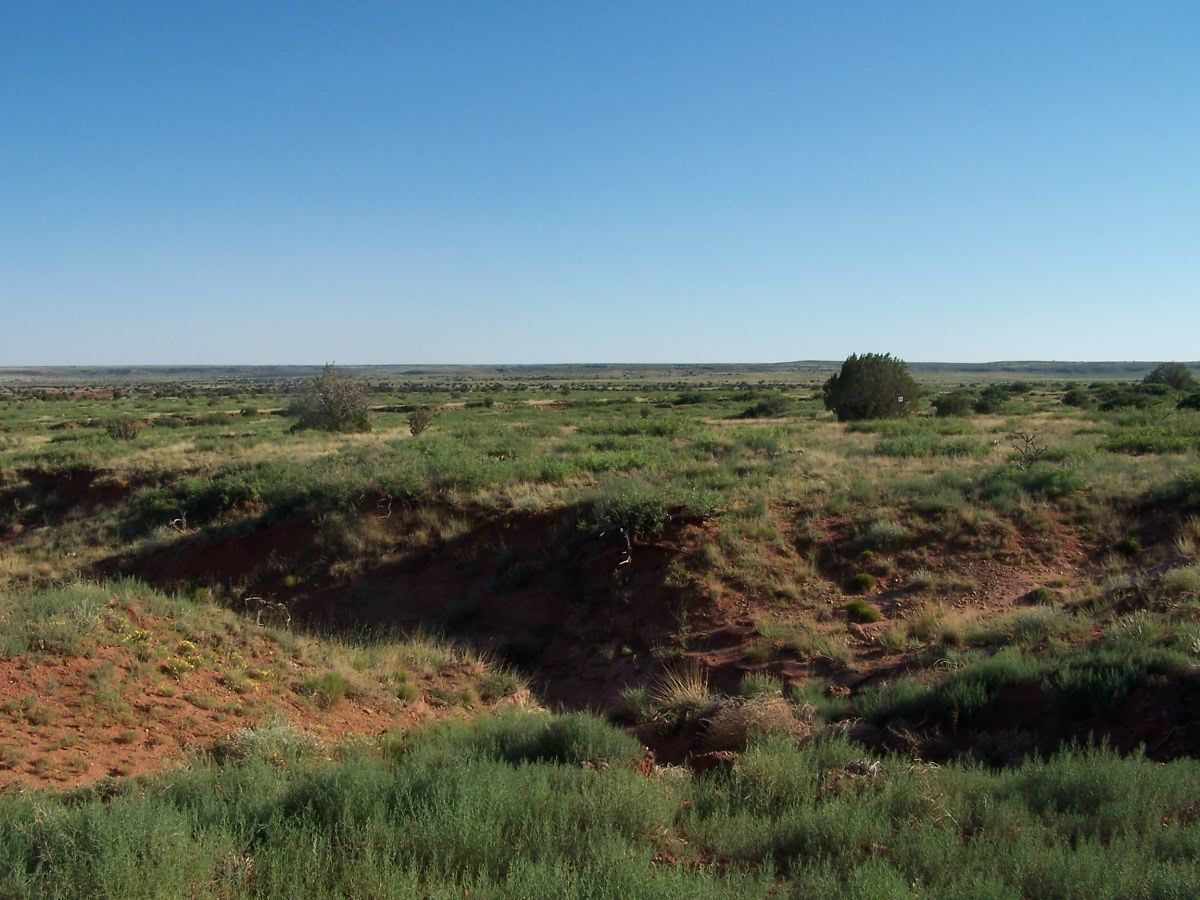 20 acres undeveloped - #69 at River Ranches - $27,000