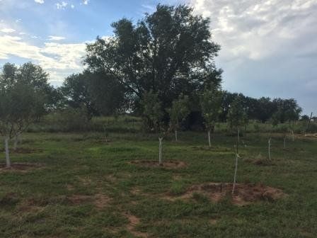 26443 US Highway 60, Fort Sumner NM