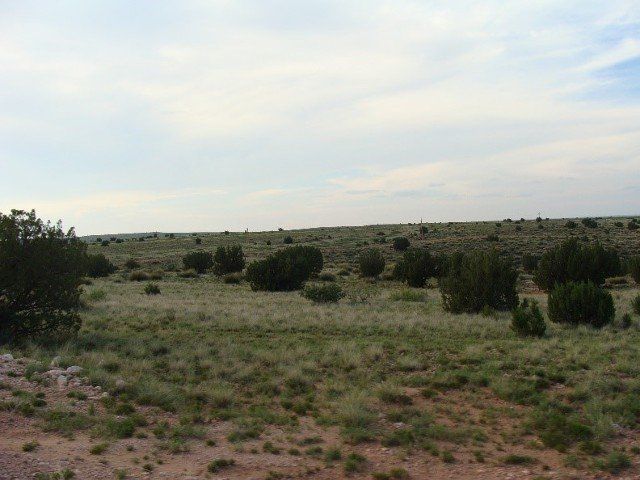 $20,000 each for Tract 7 and 8 - 20 acres each