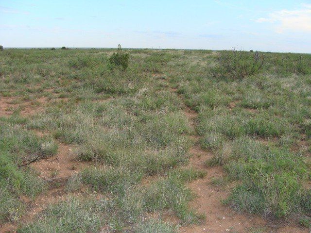 $20,000 each for Tract 7 and 8 - 20 acres each