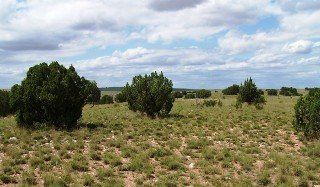 Tract 50, River Ranches  10 acres of beautiful NM native gramma grass & cedars.  Imagine waking up to awesome sunrises every day.  Plan for your future; plan your retirement dream home today.  Price: Originally sold for $22,000  SOLD