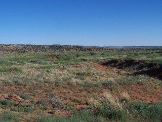 Tract 50, River Ranches  10 acres of beautiful NM native gramma grass & cedars.  Imagine waking up to awesome sunrises every day.  Plan for your future; plan your retirement dream home today.  Price: Originally sold for $22,000  SOLD