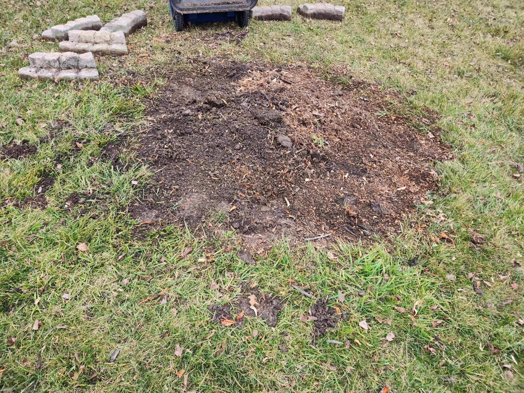 stump grinding after