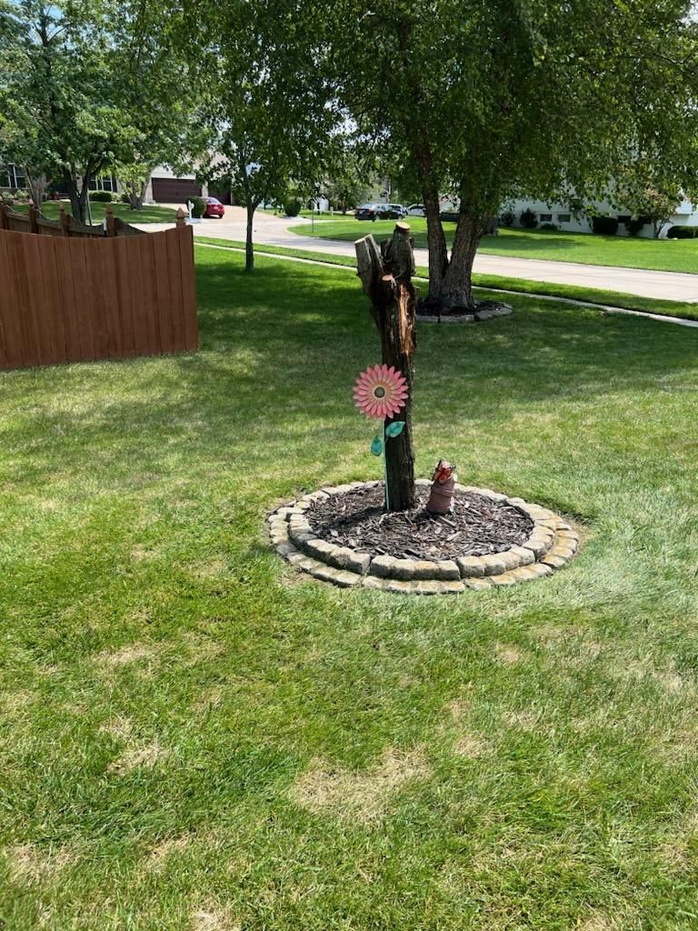 stump grinding before