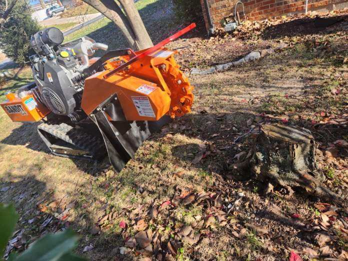 stump grinding in my area st louis