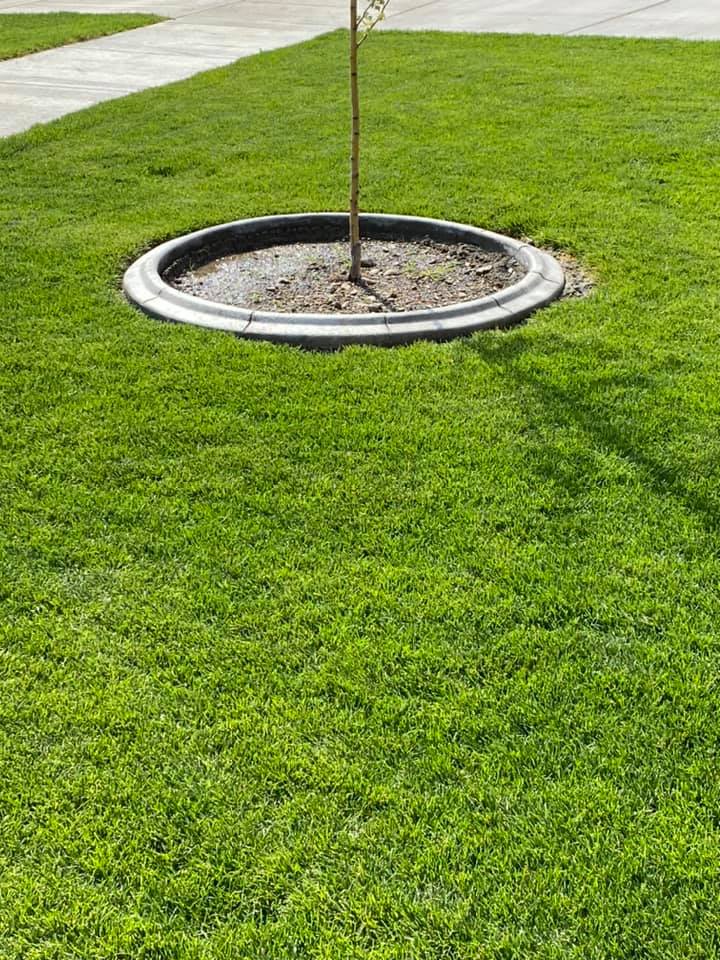Landscaping With Shapes — Post Falls, ID — Perfection Edge LLC