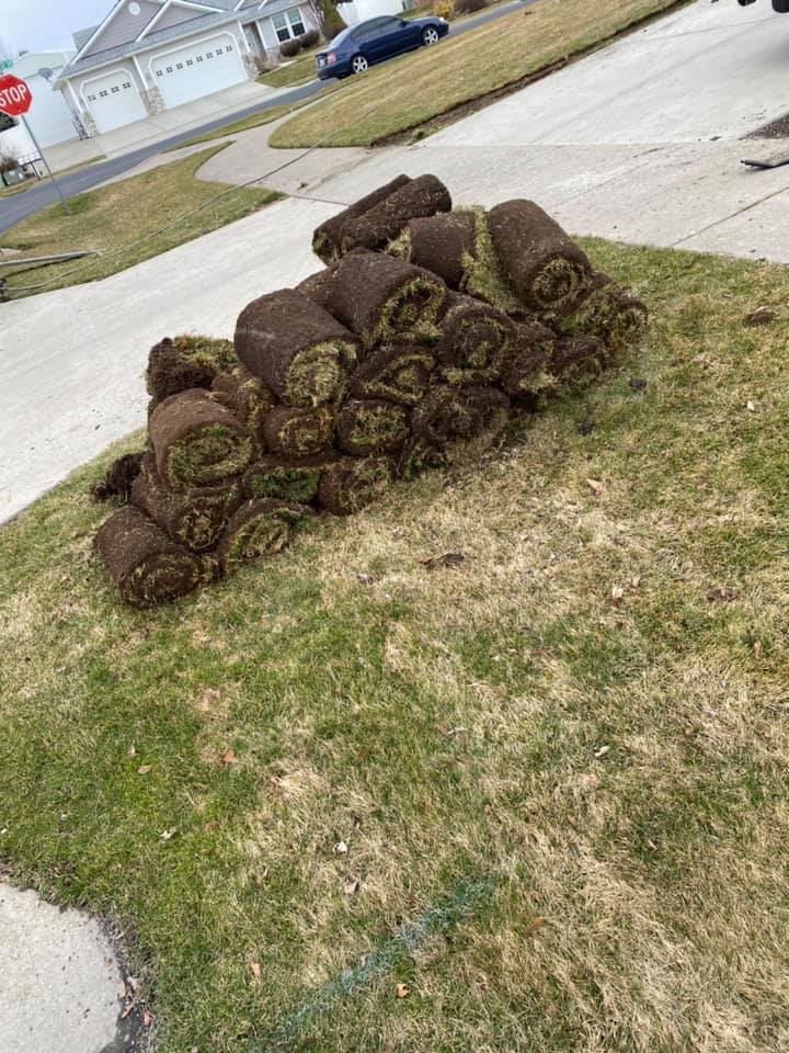 Rolled Lawn — Post Falls, ID — Perfection Edge LLC