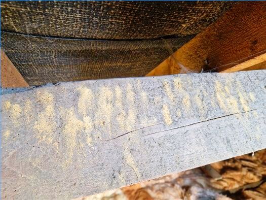 A close up of a piece of wood with a few letters on it