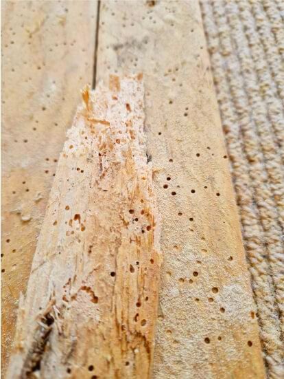 A close up of a piece of wood with holes in it.
