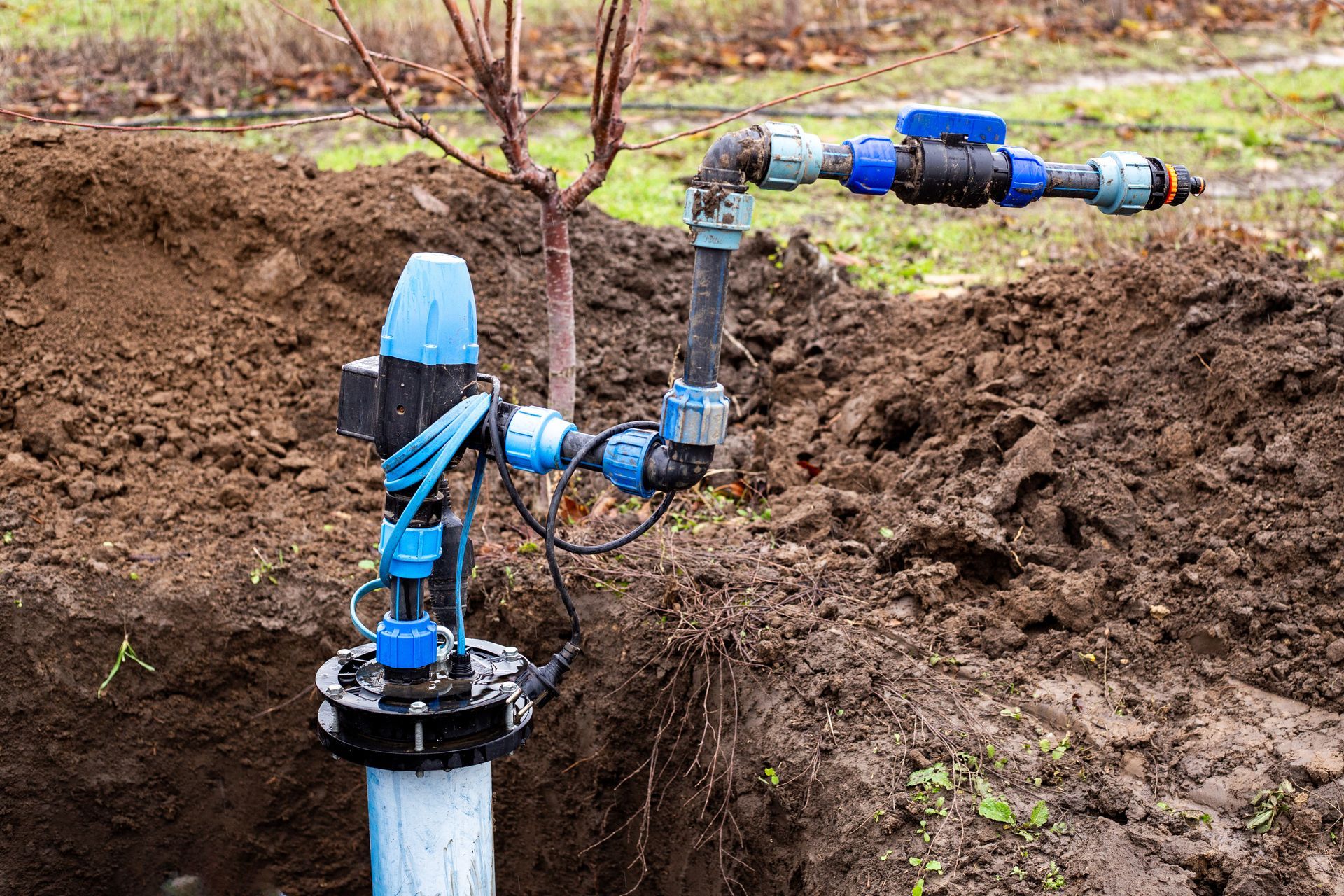 Blue irrigation pipe and sprinkler valve assembly in a muddy field.