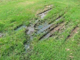 Mud tracks and a shallow puddle cutting through green grass.