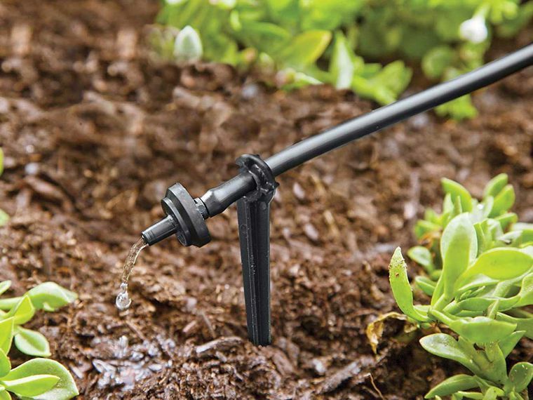 drip irrigation by greenville irrigation services