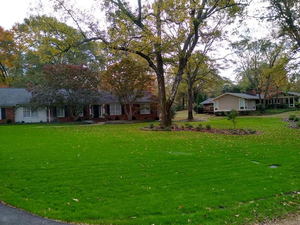 irrigated lawn by greenville irrigation services