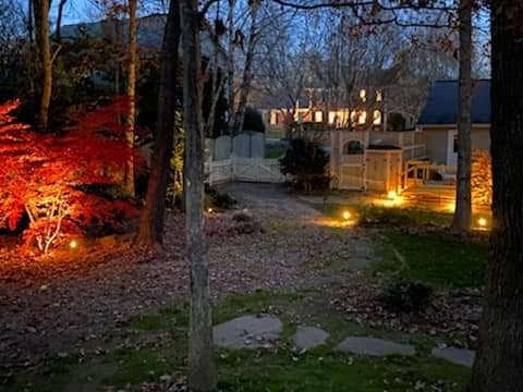 lighted yard and path by greenville irrigation services in greenville sc