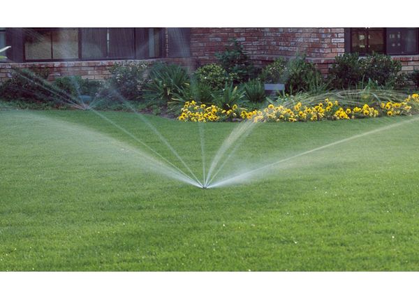 irrigated lawn and shrubs by greenville irrigation services in greenville sc
