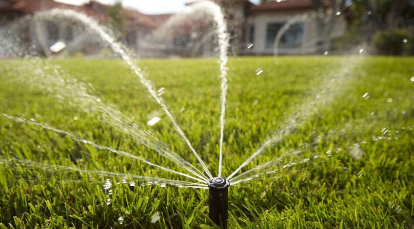 sprinkler head by greenville irrigation services