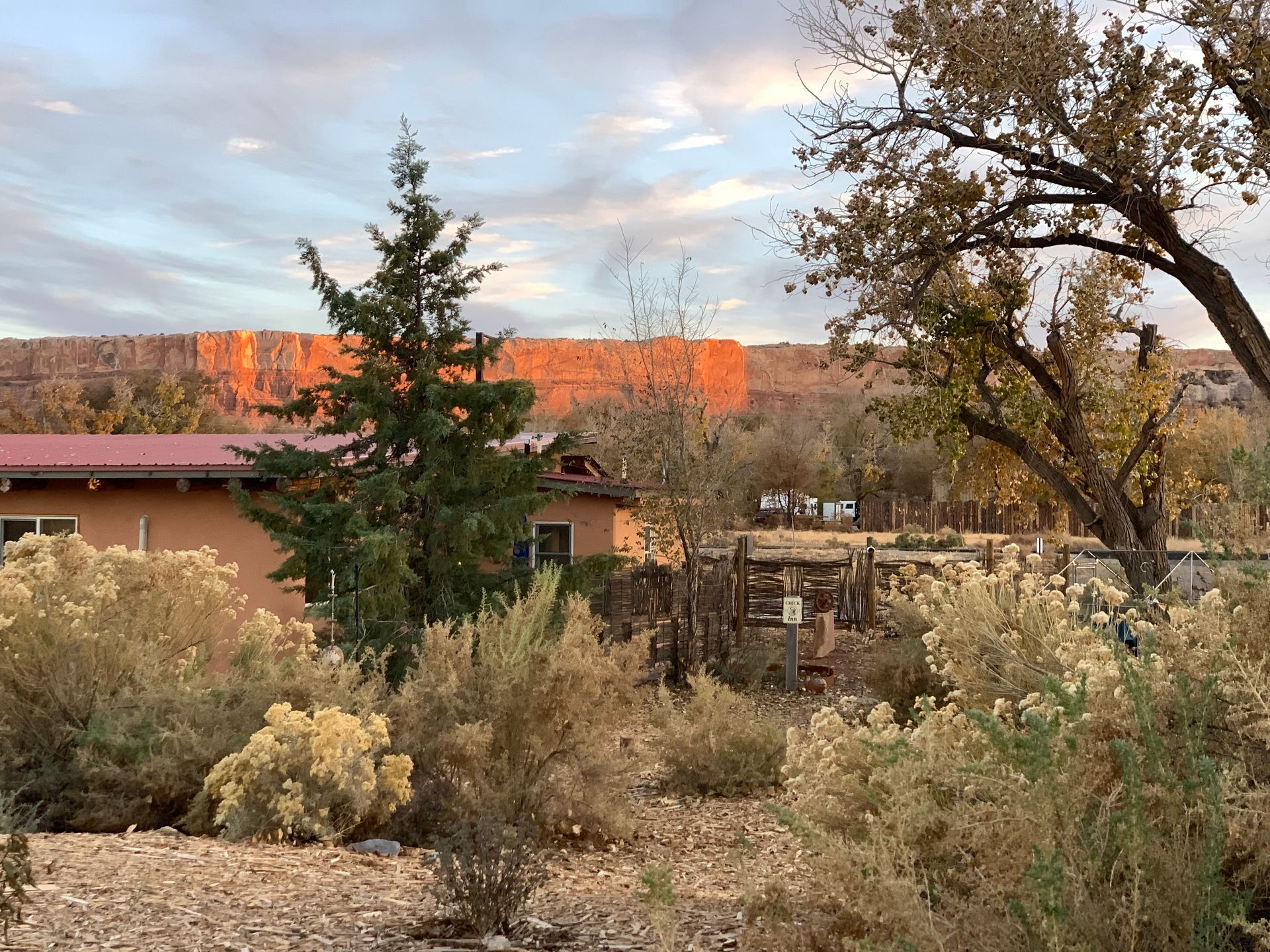 A house in the middle of a desert surrounded by trees and bushes.